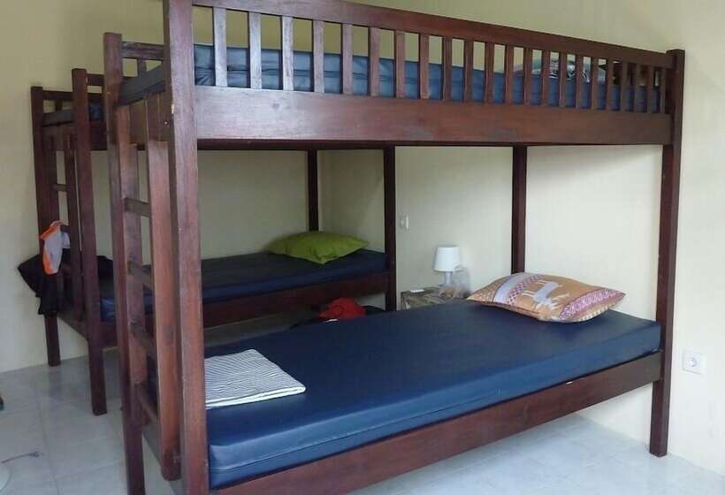 Общежитие Surfers Dorm House