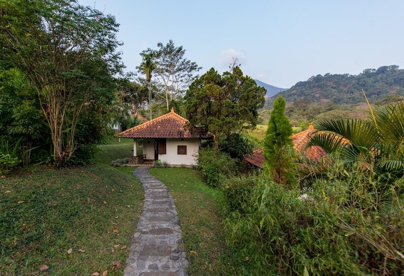 Bed and Breakfast Ecolodge Seloliman