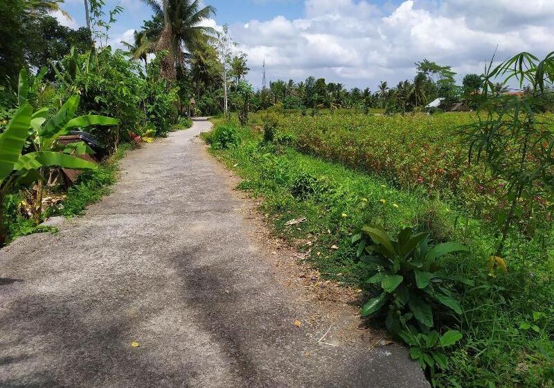 Bed and Breakfast Gopala Villa Ubud