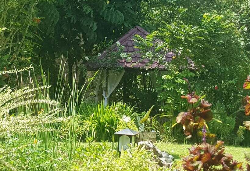 مبيت وإفطار Thousand Hills Ketambe ,room And Treking