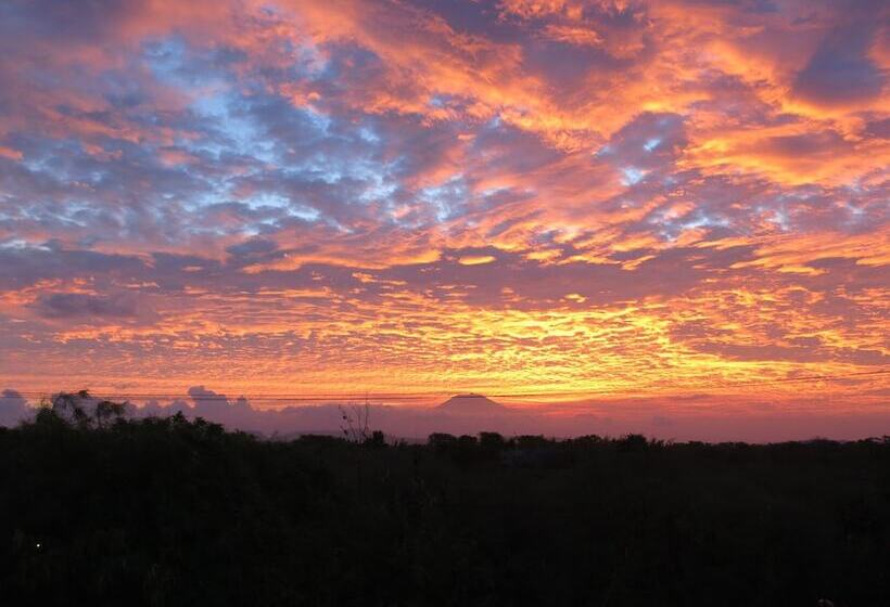 ホテル Batu Ampar Menjangan