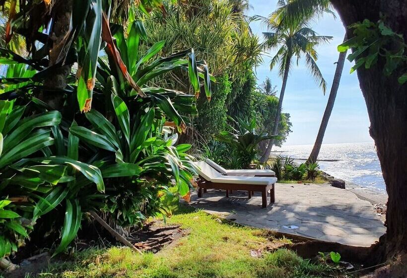 فندق Ciliks Beach Garden