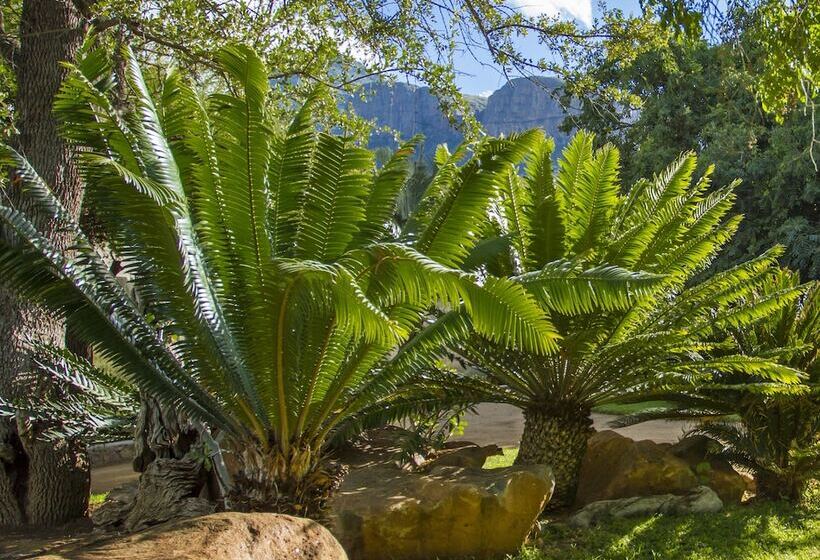 ホテル Littlebush Private Lodge