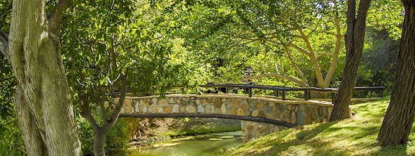 Отель Littlebush Private Lodge