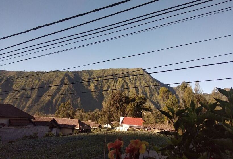 بنسيون Balqis Home Stay