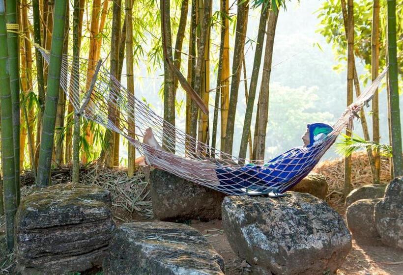 Misty Woods Resort