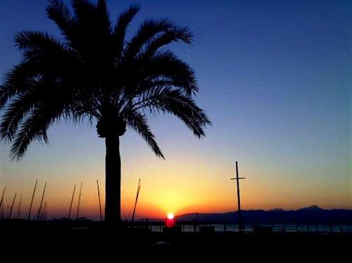 ホテル D-H Club Vista Bahía