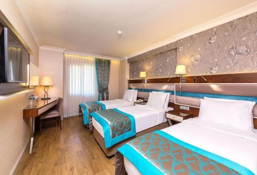 Fotos del hotel Grand Yavuz Hotel Sultanahmet:  8