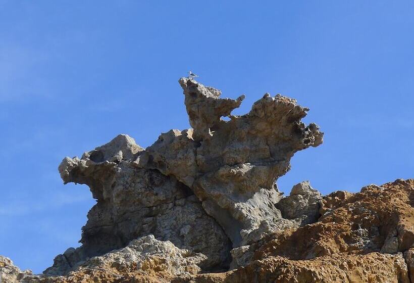 هتل La Residencia