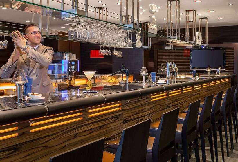 Fotos del hotel Nh Danube City:  21