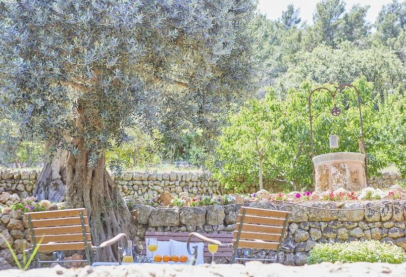 فندق ريفى Rural S Olivaret & Spa