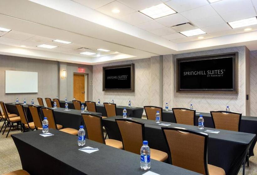 هتل Springhill Suites By Marriott Miami Airport South Blue Lagoon Area