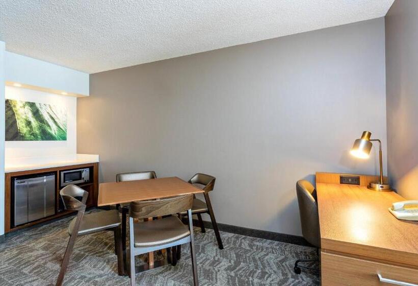 هتل Springhill Suites By Marriott Miami Airport South Blue Lagoon Area