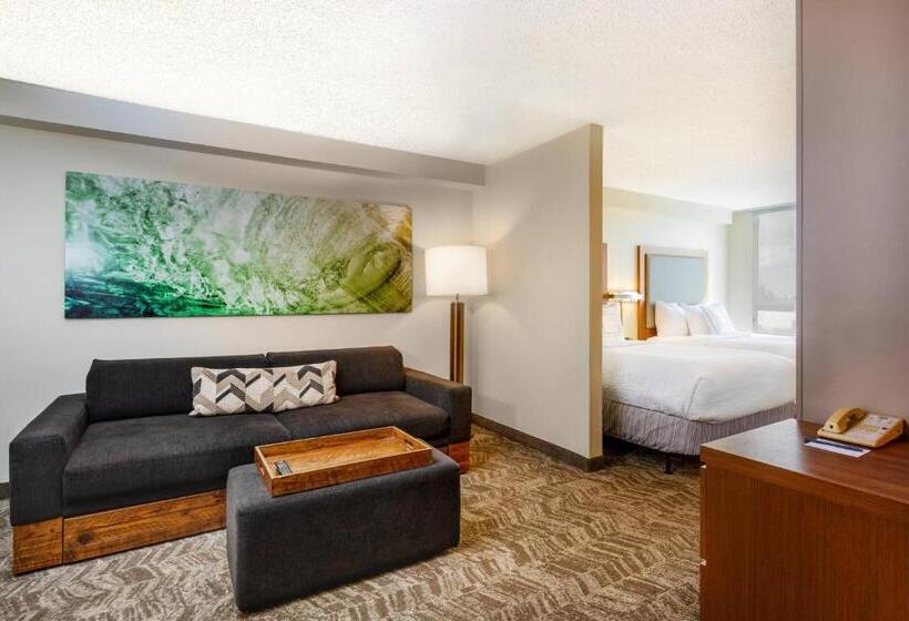 هتل Springhill Suites By Marriott Miami Airport South Blue Lagoon Area