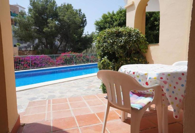 Las Flores De Burriana