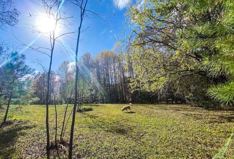 住宿加早餐  Vaiden Inn