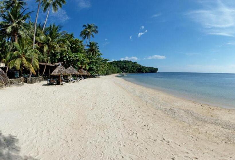 Easy Diving And Beach Resort