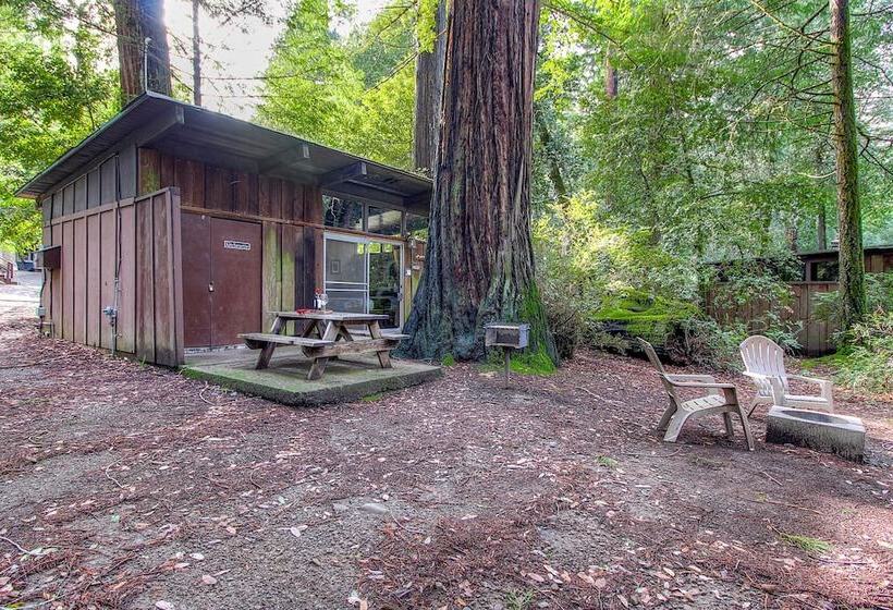 Redwoods River Resort