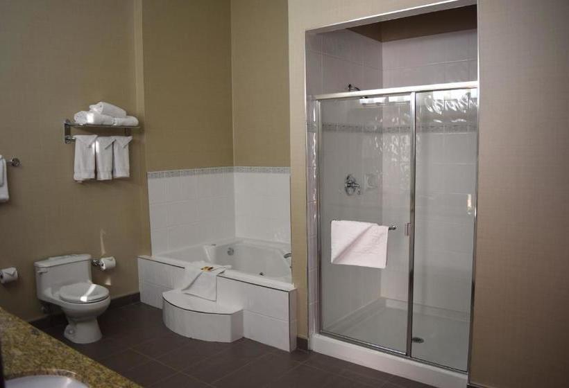 هتل Best Western Plus Uptown