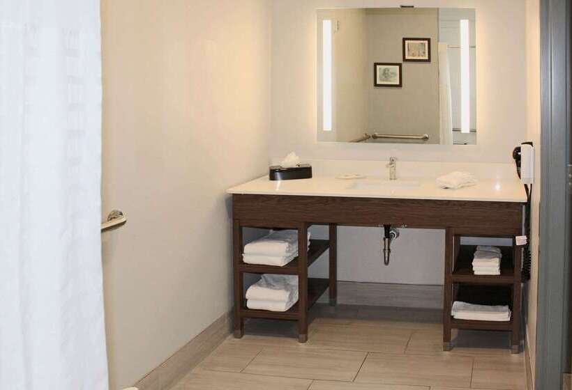 هتل Comfort Inn & Suites Near Lake Guntersville