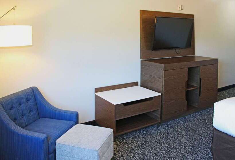 هتل Comfort Inn And Suites Near Lake Guntersville