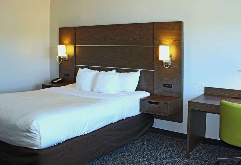 هتل Comfort Inn & Suites Near Lake Guntersville