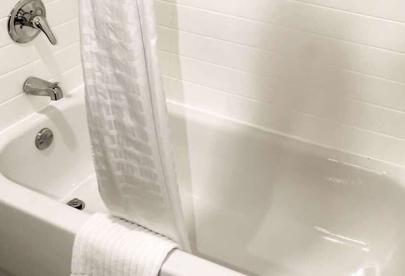 هتل Comfort Inn & Suites Near Lake Guntersville