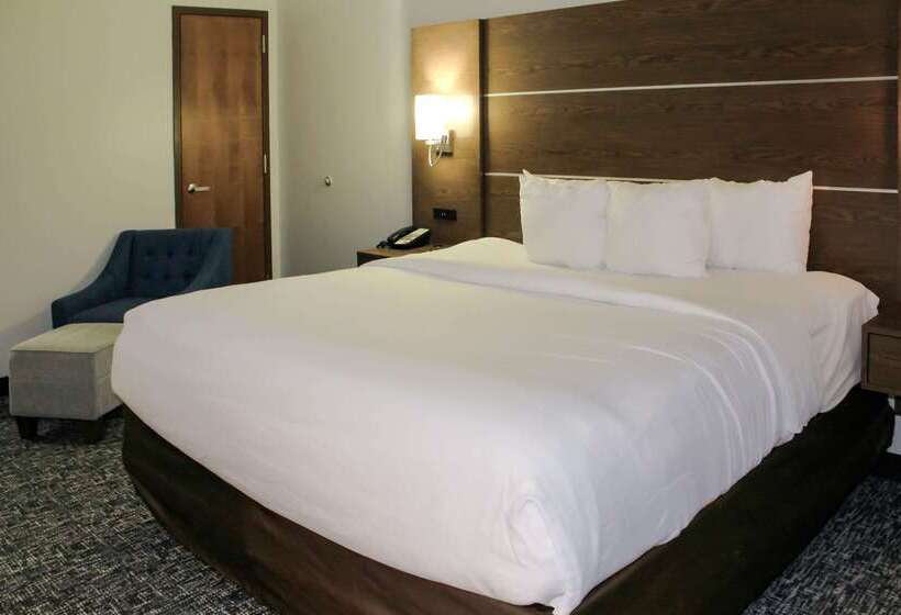هتل Comfort Inn & Suites Near Lake Guntersville