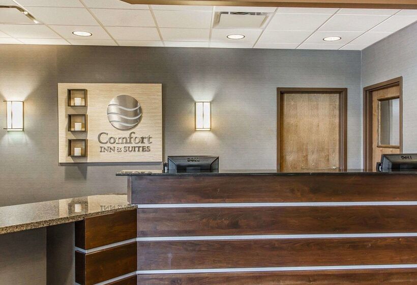 هتل Comfort Inn & Suites Near Lake Guntersville