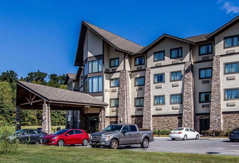 هتل Comfort Inn And Suites Near Lake Guntersville