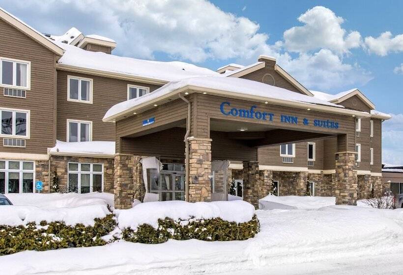 هتل Comfort Inn And Suites St Jerome