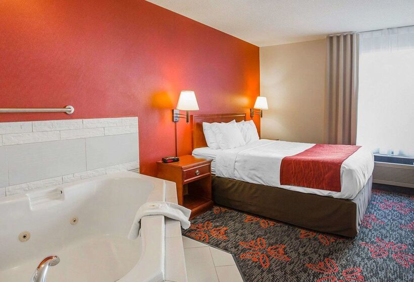 酒店 Comfort Inn & Suites University