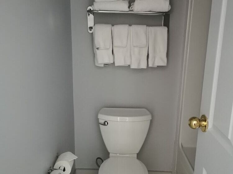 هتل Comfort Inn & Suites University