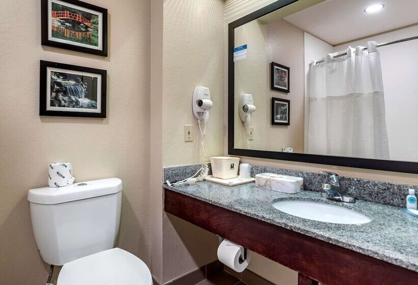 هتل Comfort Inn Birmingham  Irondale