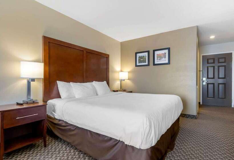 ホテル Comfort Inn