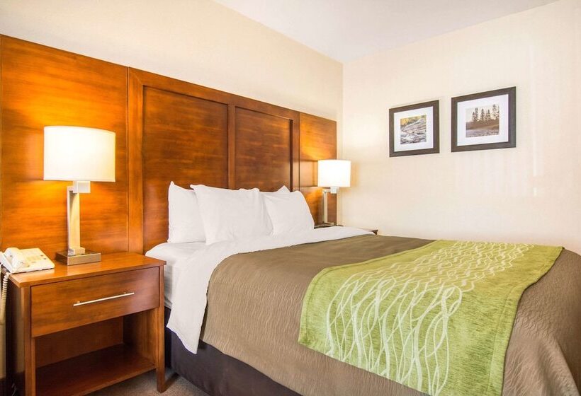 호텔 Comfort Inn & Suites Shawinigan