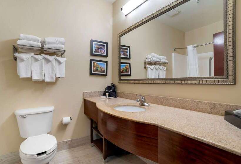 בית מלון כפרי Comfort Suites Mobile East Bay