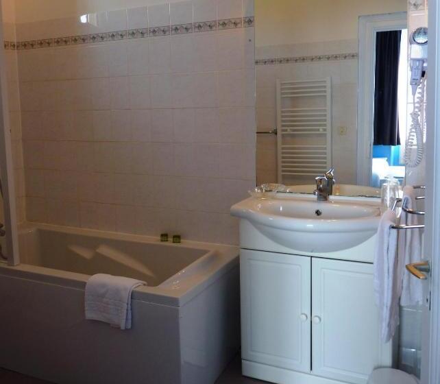 酒店 Logis Hôtel Le Cygne