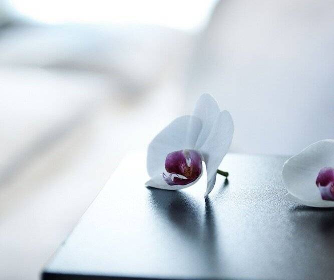 Fotos del hotel New Berlin:  22