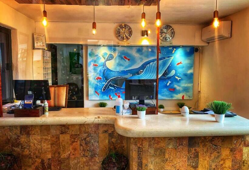 هتل Santa Fe Los Cabos By Villa Group