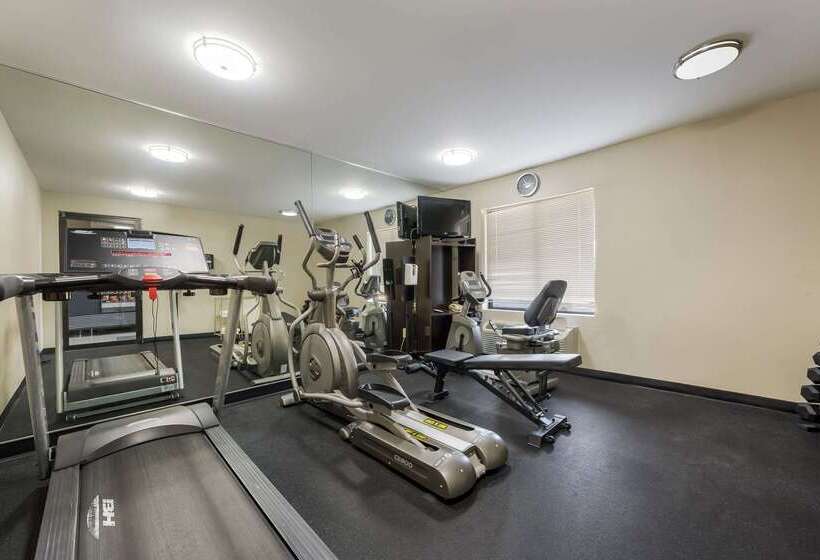 هتل Sleep Inn & Suites Cullman I 65 Exit 310