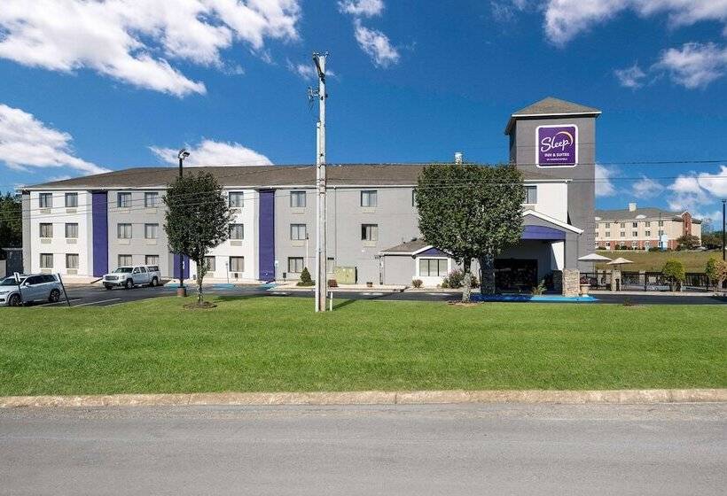 هتل Sleep Inn & Suites Cullman I 65 Exit 310