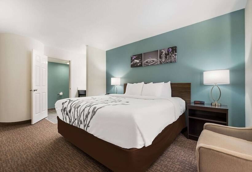 هتل Sleep Inn & Suites Cullman I 65 Exit 310