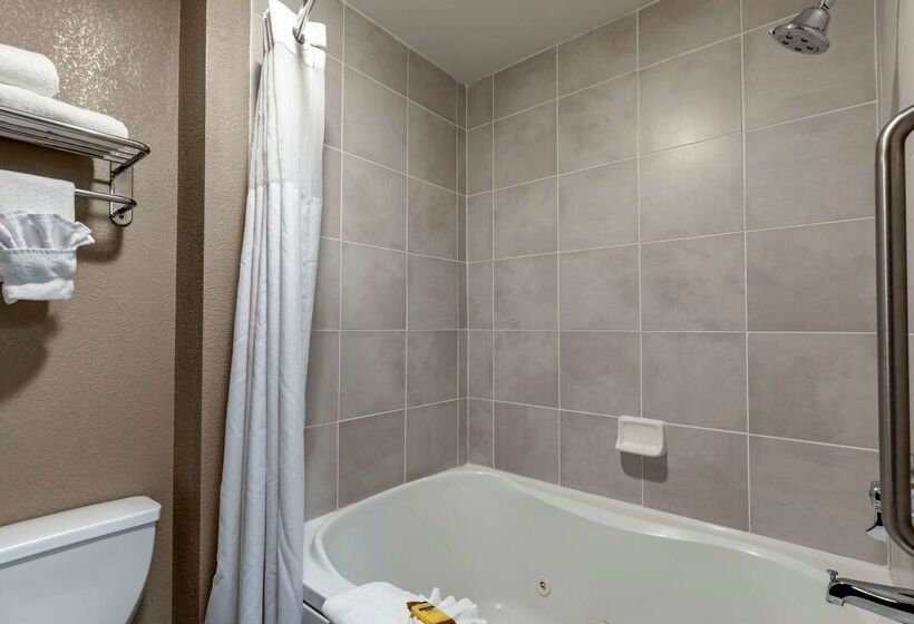هتل Best Western Plus Boulder Louisville