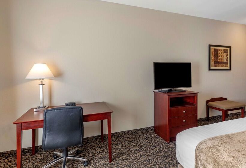 Hotel Best Western Plus Louisville Inn And Suites