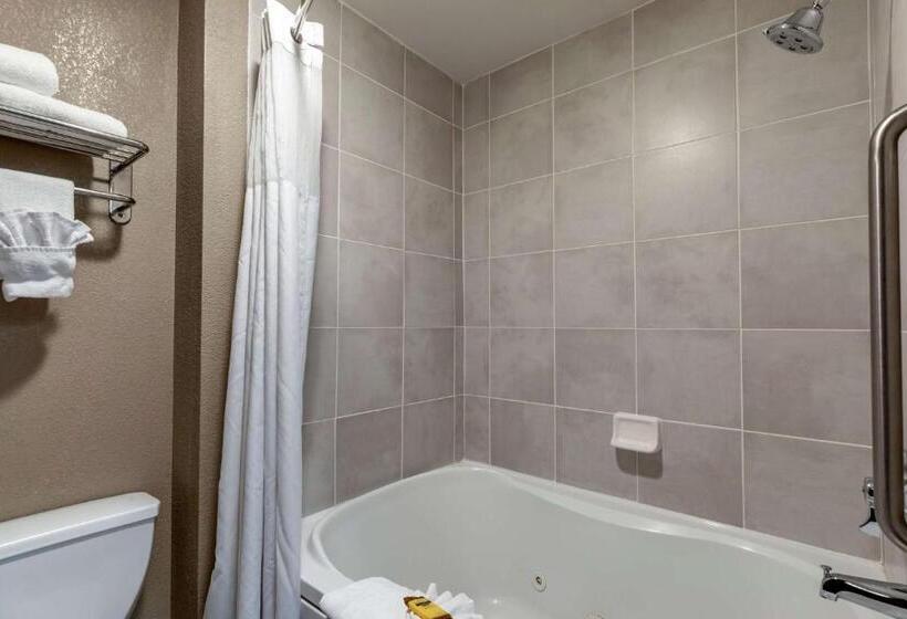 هتل Best Western Plus Boulder Louisville