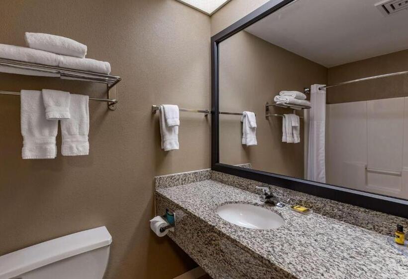 هتل Best Western Plus Boulder Louisville