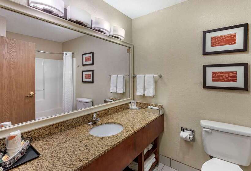酒店 Comfort Inn Denver West Arvada Station