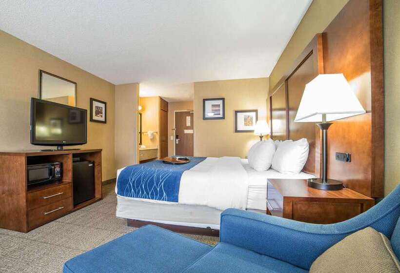 هتل Comfort Inn Grand Junction I70