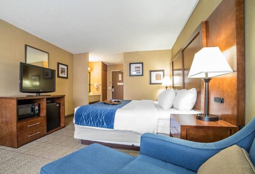 هتل Comfort Inn Grand Junction I70